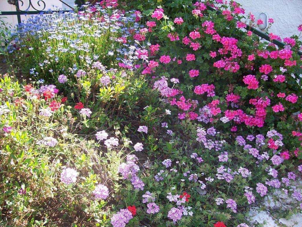 B&B Arcobaleno Cefalu Exterior photo